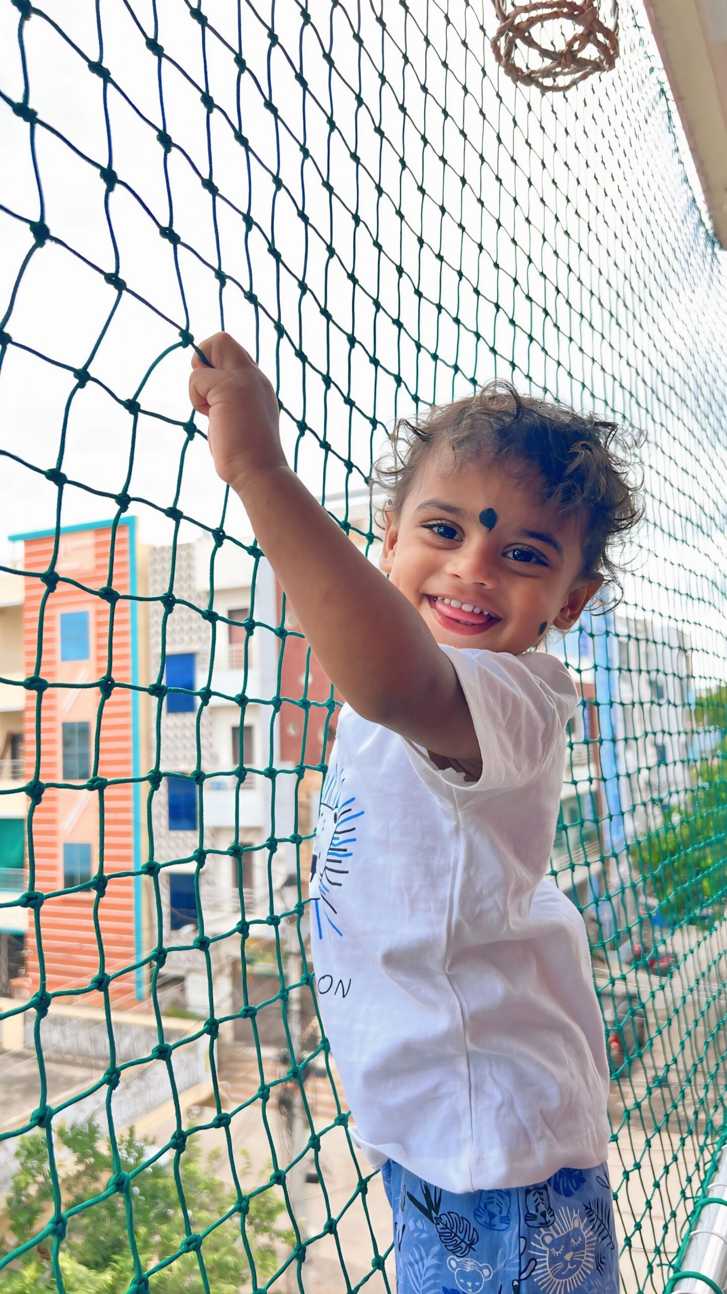 Children safety net installation in Hyderabad high-rise apartment balcony
